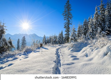 Path In Fresh Snow To Rusinowa Polana In Winter Landscape Of Tatry Mountains On Sunny Day, Poland