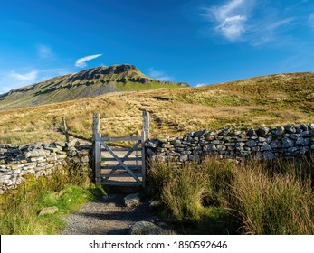 A path with a gate climbing up towards the mountain of Pen-y-ghent in the Yorkshire Dales National Park. The mountain is 2,277 feet high.