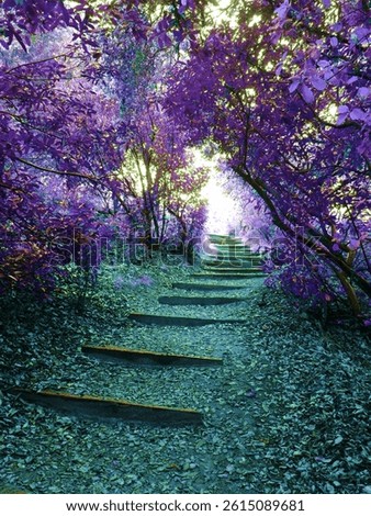 The path goes up and onward.