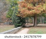A path in Grant Park in Autumn