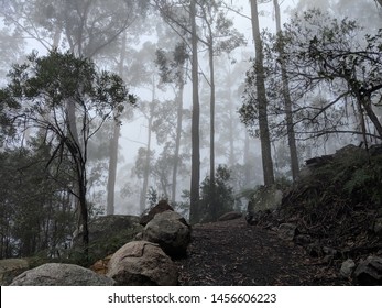 A Path In The Great Dividing Range