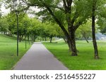 Path in a green park