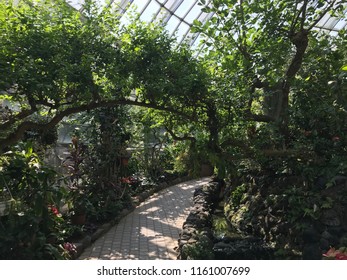 path and greenery