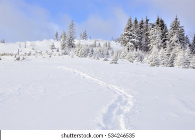 Image result for snow path pictures