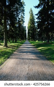 A Path Inside Skogskyrkogarden Cemetery, A UNESCO World Heritage Site, Designed By Swedish Architects Gunnar Asplund And Sigurd Lewerentz.