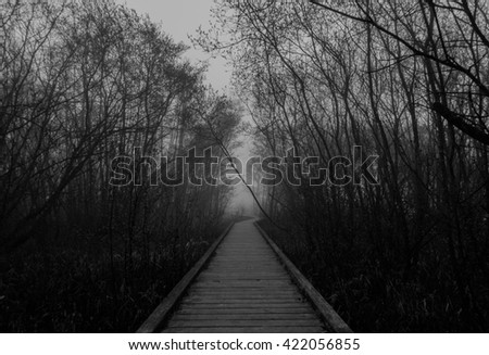 Man walking along the jetty