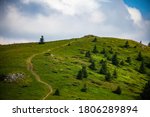 Path for King of the Hill