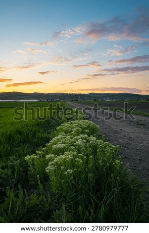 Path leading to distant hills under a colorful evening sky in central Transylvania, Romania.