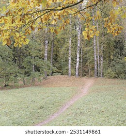 A path leading into a dense autumn forest of birches, oaks, and other trees, surrounded by colorful fallen leaves. - Powered by Shutterstock