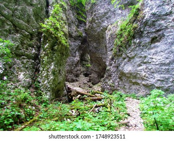 Path Leading Into A Narrow Passage At Pokljuka Gorge 