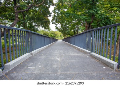 The path leading to the large tree forest garden has a shady atmosphere.