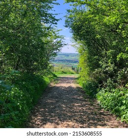 A Path Leading Out Onto A View Of The South Downs