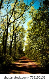 Path Leading From A Parking Lot To The Ohio And Erie Canal Towpath Trail In Peninsula Ohio