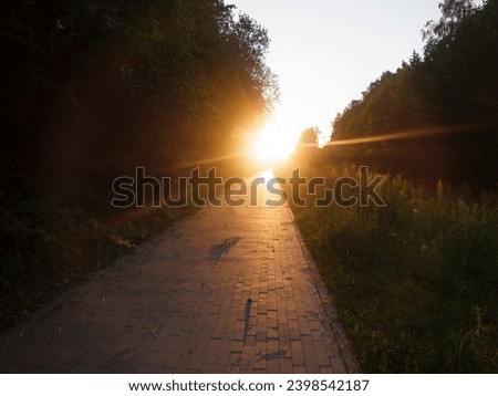 Path leading towards the sun setting in the horizon. Blinding light reflecting on the surface of the sidewalk
