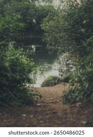 A path leads down towards a hidden body of water, partially obscured by lush green trees and undergrowth. The scene evokes a sense of discovery and a peaceful retreat into nature.