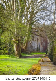 A path leads past a large tree and an old brick building.