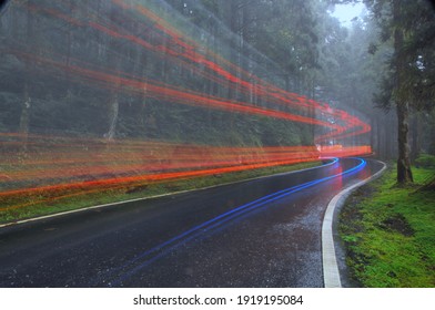 Path And Light Trails In The Green Forest