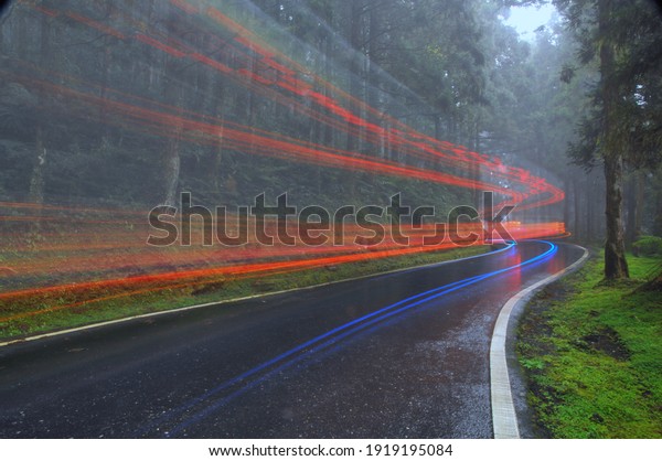 Path and light
trails in the green forest