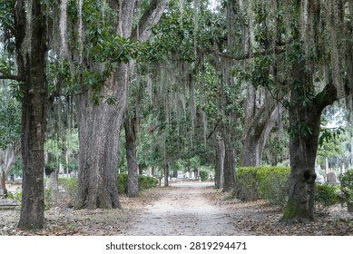 A path lined with live oak trees draped in Spanish moss winds through Old Live Oak Cemetery in Selma, Alabama.