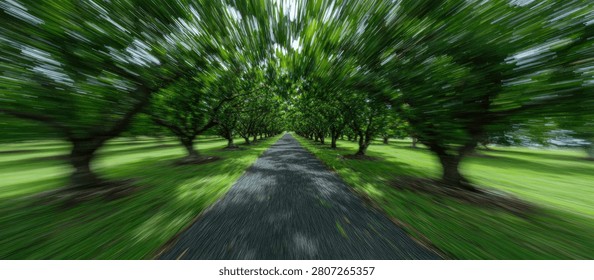 A path lined with trees, captured with a motion blur effect, giving a feeling of fast movement through a green, natural environment.