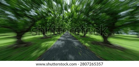 A path lined with trees, captured with a motion blur effect, giving a feeling of fast movement through a green, natural environment.