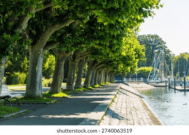 A path lined with trees runs along the edge of a body of water. The trees are green and the path is paved. The scene is peaceful and serene, with the water reflecting the trees and the sky-