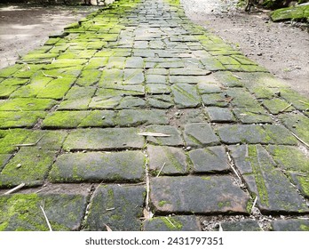 The path is made of bricks arranged in such a way on the ground and is already covered with moss