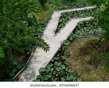 The path is made of cement.