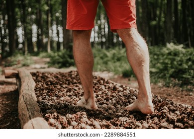 A path made of twigs to walk on barefoot - Powered by Shutterstock