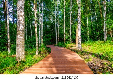 A path made of wooden planks is a passage through the forest. - Shutterstock ID 2193414137