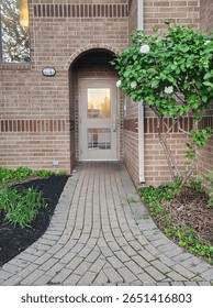 Path to the main door 