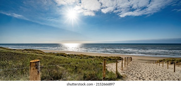 A path with many tracks, delimited by wooden posts on the sand dune with wild grass and beach in Noordwijk on the North Sea in Holland Netherlands - Panorama sea landscape with blue sky and clouds