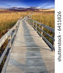    path in marsh