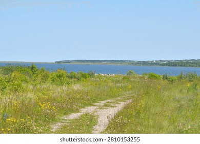 Path in a Meadow next to the Ocean