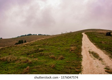 path meanders through the fields on the mountains of the Asiago plateau near Vicenza, Italy.