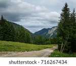 path in mountain forest