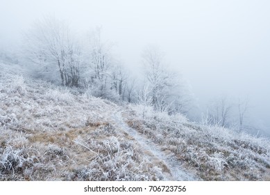 Path in the mountain forest. Rime on trees and plants. Fantastic landscape - Powered by Shutterstock