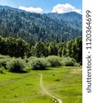 Path in the Mountain Valley in Summer
