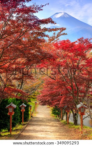 Path to Mt. Fuji in autumn, Fujiyoshida, Japan