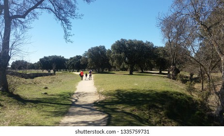 Path in nature