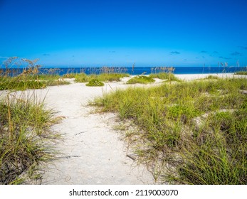 118 Nokomis beach Images, Stock Photos & Vectors | Shutterstock