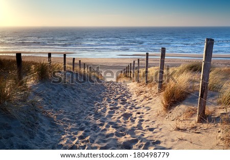 path to North sea beach in gold sunset sunshine, North Holland, Netherlands