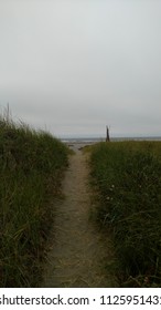 Path to the ocean