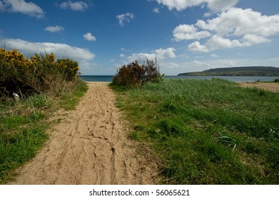 Path on Beach with Copy Space