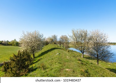 Path on a esker in the spring with flowering fruit trees - Shutterstock ID 1019483437