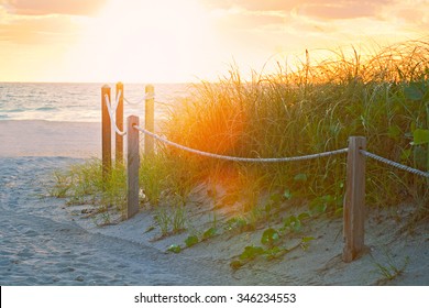 Path on the sand going to the ocean in Miami Beach Florida at sunrise or sunset, beautiful nature landscape, retro instagram filter with flares for vintage looks