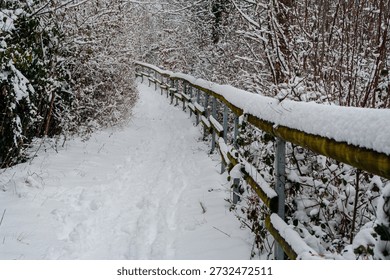 A path on a winterday with snowfall