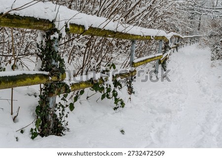 A path on a winterday with snowfall