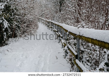 A path on a winterday with snowfall