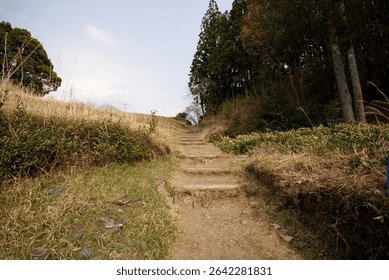 Path Opening into Fields with Mountain Village Vista on the Kumano Kodo